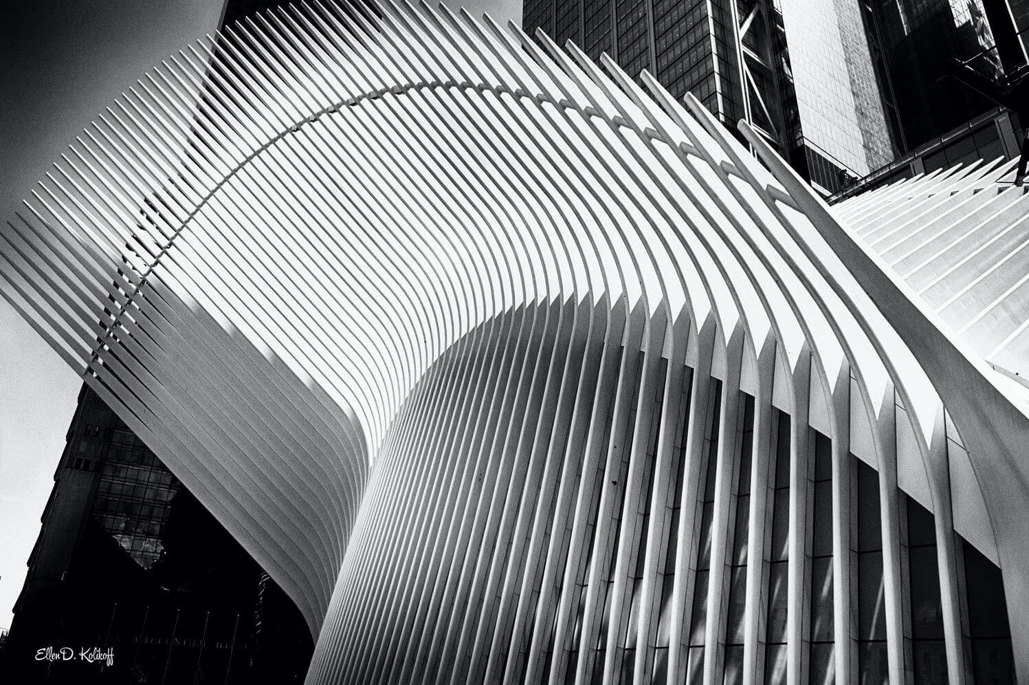 Oculus B&W-Aug 01 2020
