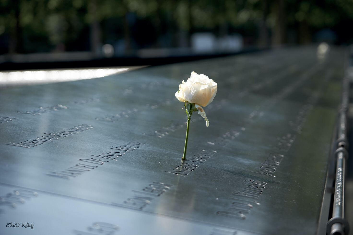 WTC memorial-Aug 01 2020-154-signed